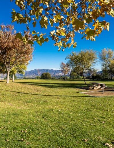 Community Picnic Area - 26815 Grey Pl Stevenson Ranch, CA (For Sale)